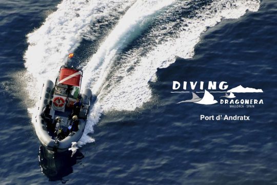 A2-Boat-from-the-top-Kopie