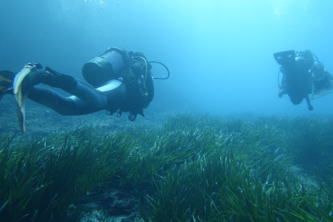 Petrodivers - Buceo en Mallorca