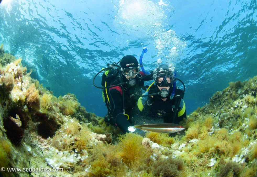 Scuba Ibiza centro de buceo de la isla de Mallorca