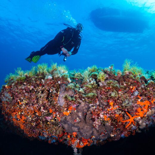 Formentera Divers Centro de Buceo