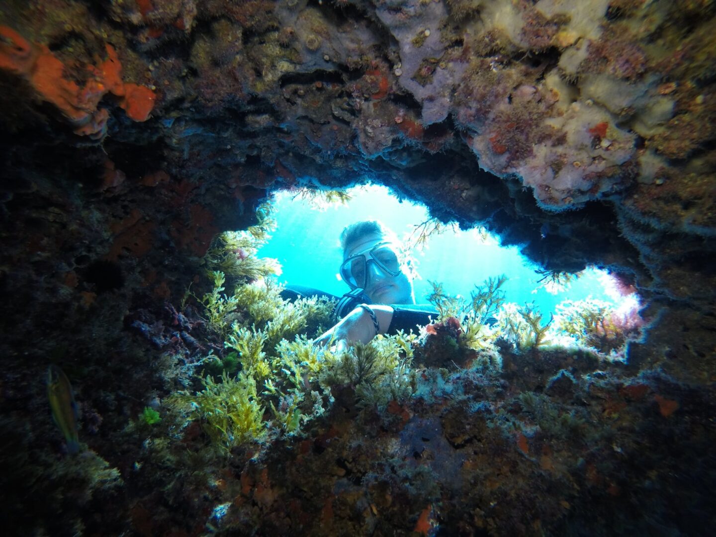 Mallorca Diving Adventure Centro de Buceo de Mallorca