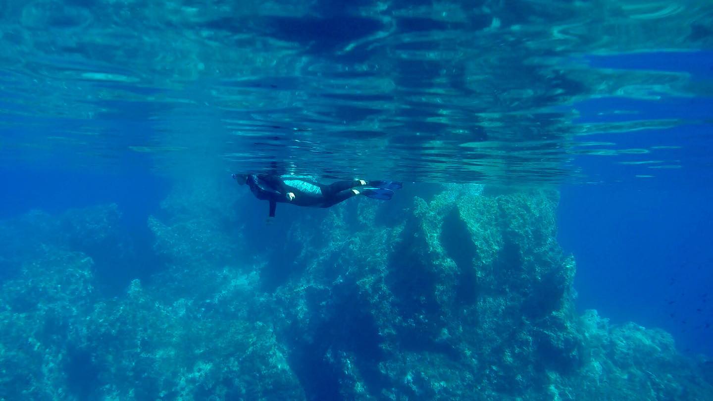 Orcasub Ibiza Diving Centre Centro de Buceo